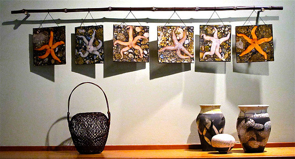 Sea Star hanging