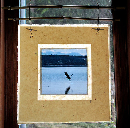 Square Heron