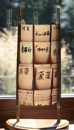 'Chinese Seed Packs' in sunlight