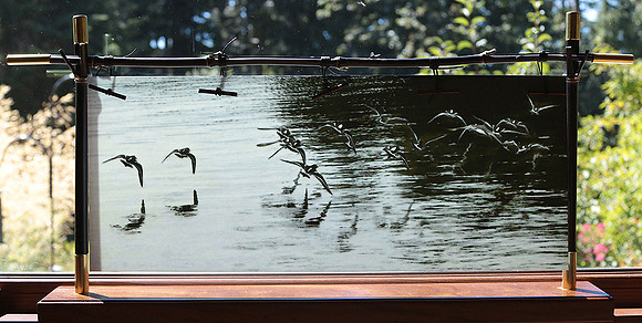 'Black Turnstones' in sunlight