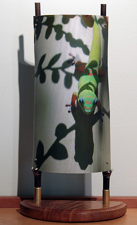 'Gecko'