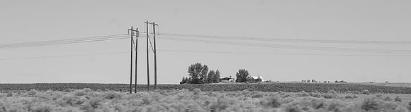 09