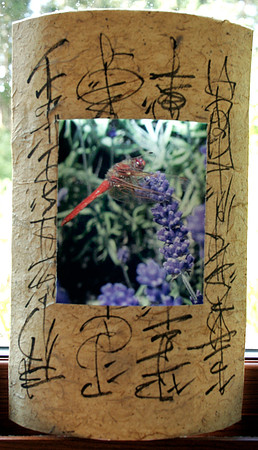 Red Dragonfly Relight