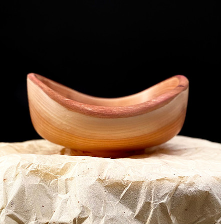 158 pacific yew 4"x2"