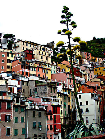 Riomaggiore