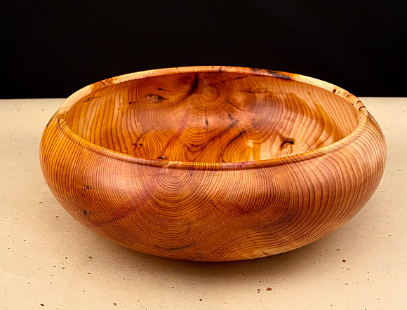 189 pacific yew 8"x2"