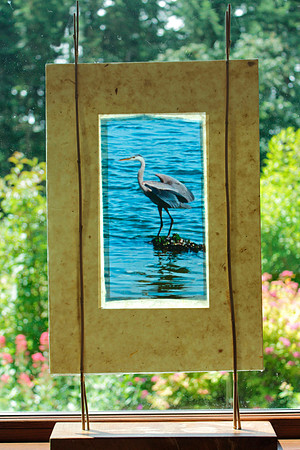 Heron