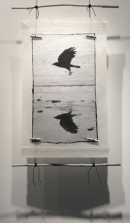 Long Point Crow