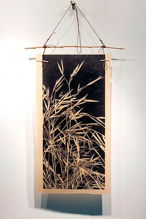 Stipa