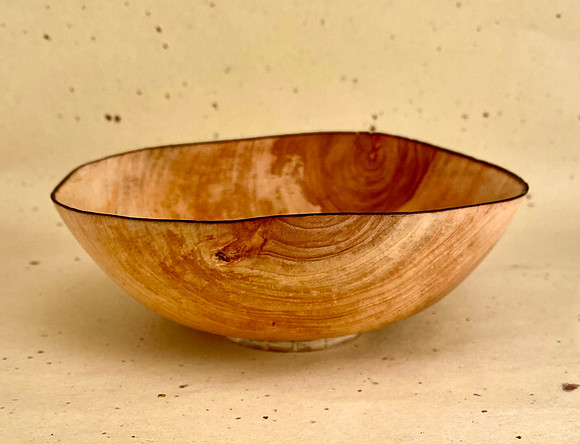 205 apple 5"x2"