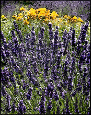 Lavender 3 Watercolor