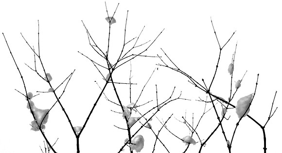 winter 2016 copy