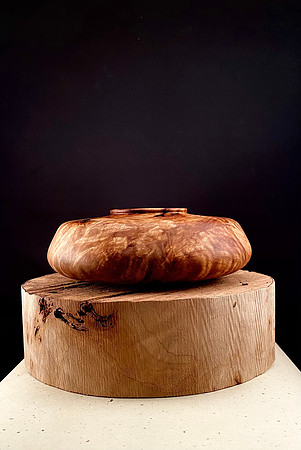 96 poplar burl 5 7"x3"  SOLD