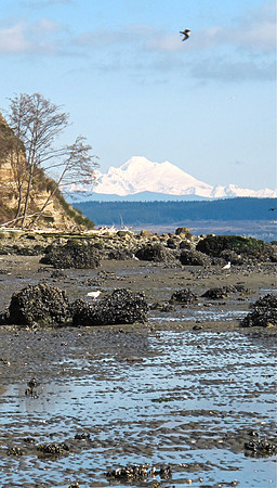 Bower's Bluff North View