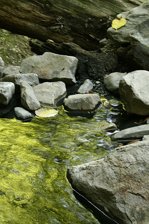 Olympic Hot Spring
