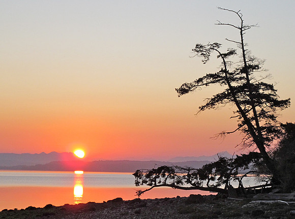 Sunrise Penn Cove