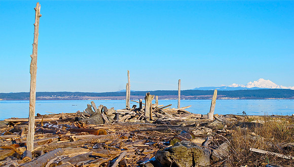 Long Point