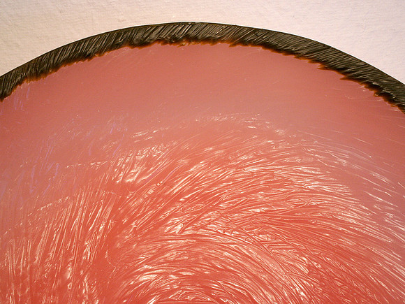 Rose detail