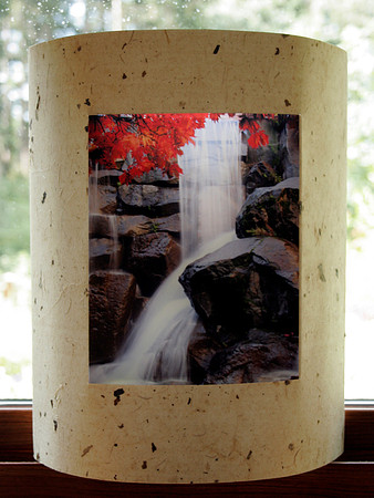Occidental Park Falls Relight