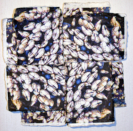 Shell Weave #6
