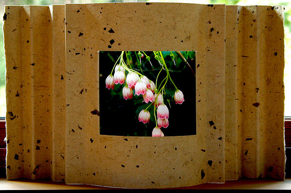 Floral Relight