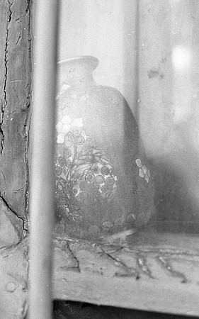 vase-in-window