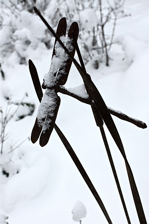 Solstice Series 9