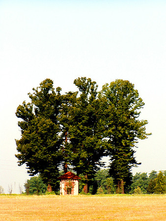 Galarata