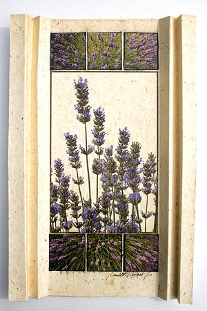Lavender Pleat #3